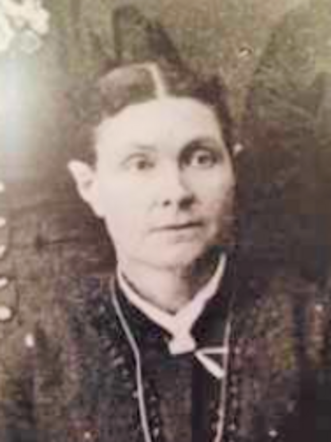 Eliza Jane Pulsipher (1840 - 1919) Profile